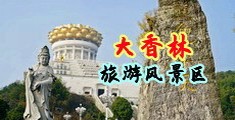 插小嫩b视频中国浙江-绍兴大香林旅游风景区